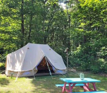 Chalandray Other | Camping Bois de St Hilaire