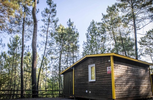 Joyeuse House | Camping Bois Simonet**** - Chalet Lavande 3 rooms 5 people