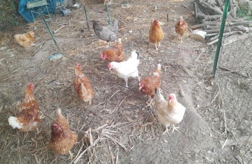 Pujo-le-Plan Other | Camping car au bord de l eau