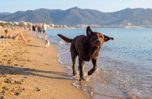 Empuriabrava Other | Camping Castelló Mar