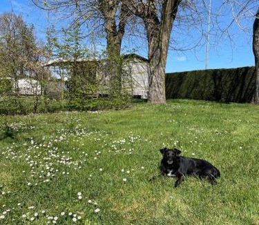 Gracay Other | Camping de Graçay