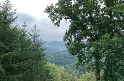 Abreschviller Other | Camping De La Sarre