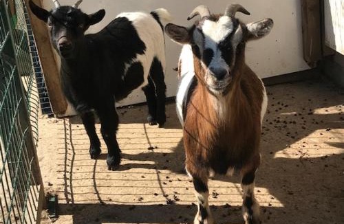 Audinghen House | camping de warincthun