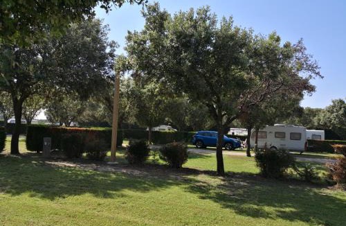 Violes Other | Camping des Favards