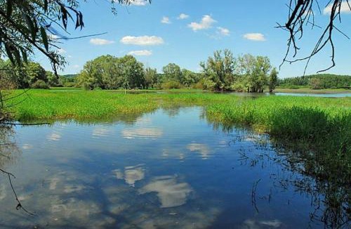 Villegusien-le-Lac Other | Camping du Lac