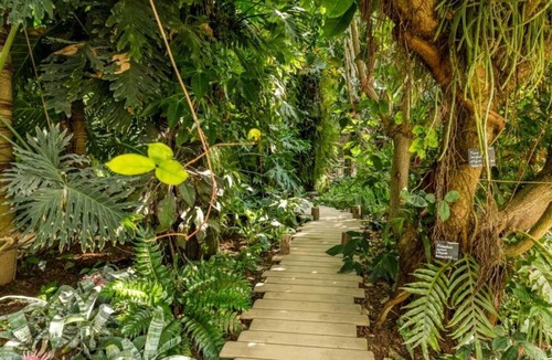 Le Lion-d'Angers House | Camping - eeiigf - Studio Apartment, Sleeps 5