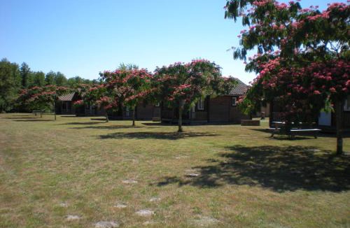 Uza Other | Camping familial les Chalets d'Uza