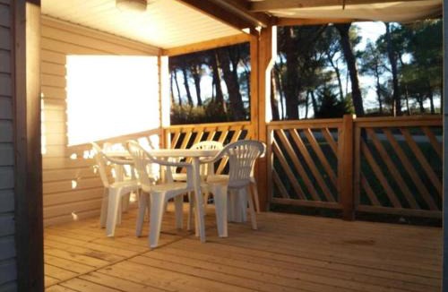 Bizanet Other | Camping Figurotta