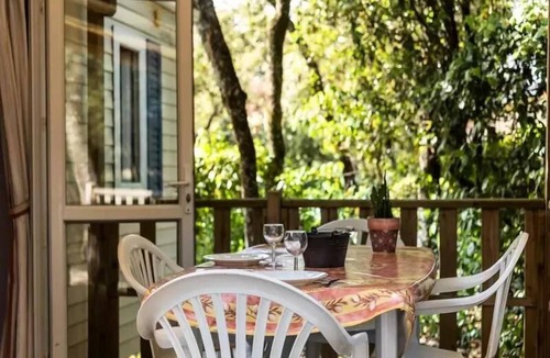 Brousses-et-Villaret House | Camping Flower Le Martinet Rouge * - 3 room mobile home 4/6 people Terrace