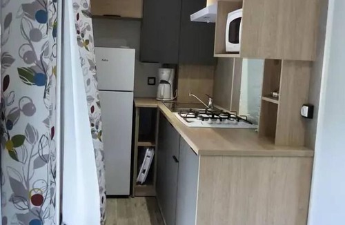 Brousses-et-Villaret House | Camping Flower Le Martinet Rouge * - Premium mobile home 4 rooms 6 people