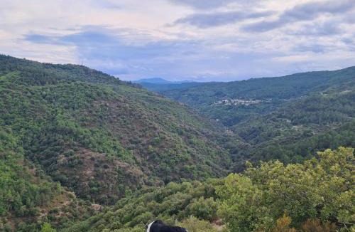 Saint-Germain-de-Calberte Other | Camping à la ferme