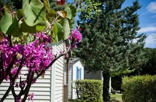 Saint-Jean-Pla-de-Corts Cabin | Camping les Casteillets* - 3-room cabin for 5 people Without sanitary facilities