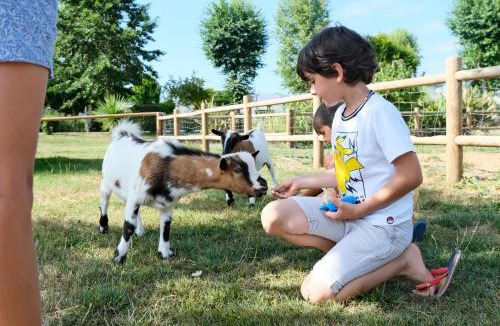 Pontorson Other | Camping Haliotis