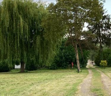 Pont-sur-Yonne Other | Camping l'Île d'Amour, Pont-sur-Yonne, Bourgogne