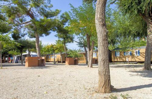 Grao de Gandia Other | Camping l'Alqueria