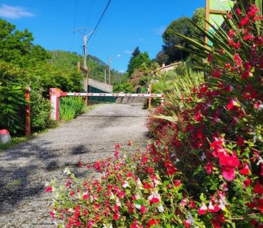 Pont-de-Labeaume Other | Camping La Charderie