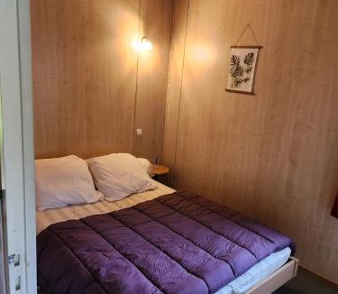 La Chapelle-Taillefert Ski Chalet | Camping La Chapelle