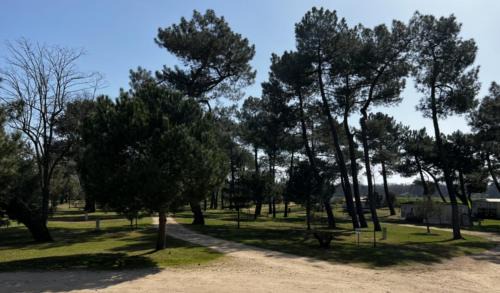 Tigy Other | Camping La Maltournée