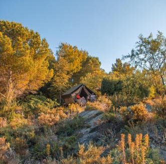 Tuchan Cabin | Camping la Peiriere - Lodge en Pays Cathare