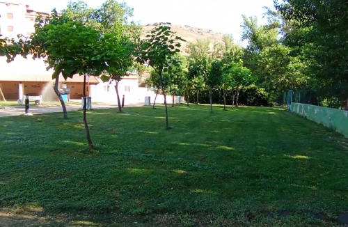 Canizar del Olivar Other | Camping Las Aguas
