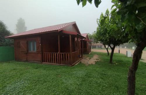Canizar del Olivar Other | Camping Las Aguas