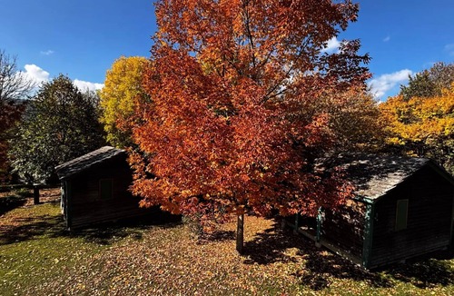 Recoules-Previnquieres Ski Chalet | Camping Le Plô * - Mini Chalet Isabelle 2 Rooms 4 People