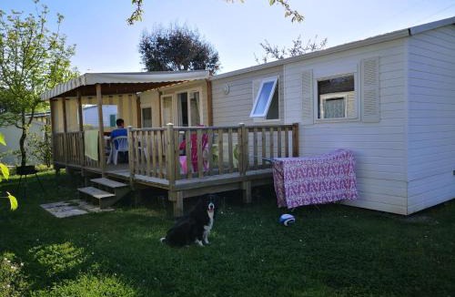 Challans Other | Camping Le Ragis