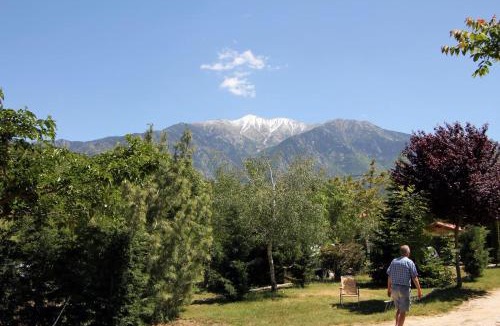 Fuilla Other | Camping le Rotja