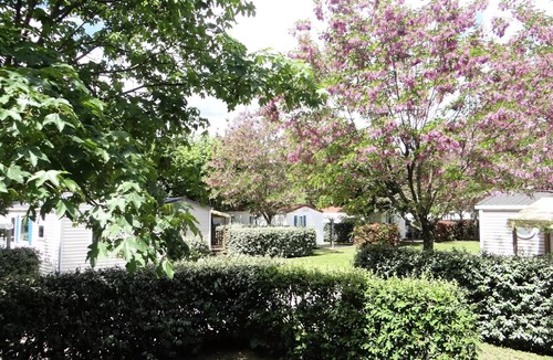 Rosieres House | Camping les Hydrangeas * - MOBILE HOME 2 Bedrooms + Great Air-conditioned Comfort 6 people
