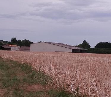 Corme-Royal Other | Camping les Petites Roches