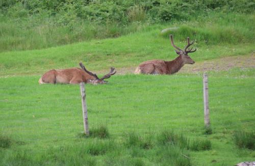 Lamongerie Other | Camping Montard