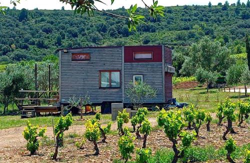 Paziols Other | Camping Nysa Paziols