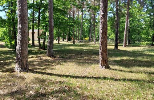 Nancay Other | Camping Onlycamp Les Pins