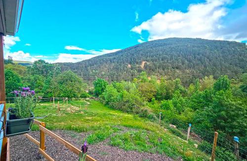 Castiello de Jaca Other | Camping Pirineos Jacetania 3000