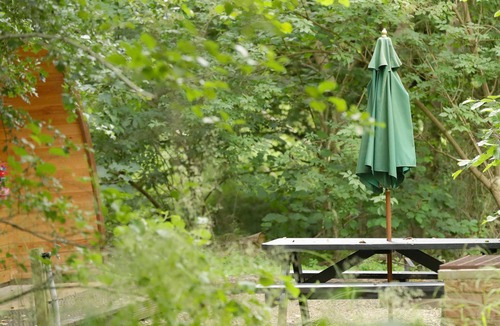 Aldborough Cabin | Camping Pod (Deer's Glade)