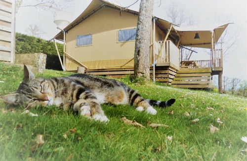 Cassagnabere-Tournas House | Camping Pré Fixe **** - Chalet Eco-nature 3 Rooms 4 People