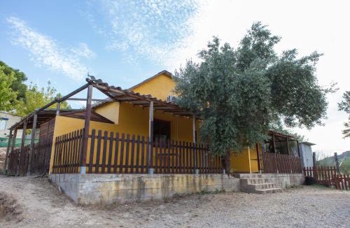 Riba-Roja d'Ebre Other | Camping Riba-roja