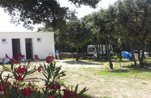 Mandre RV Rental | Camping Sugar for a perfect vacation