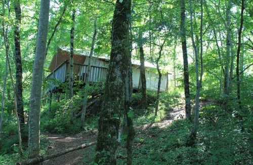 Villecomtal Other | Camping Terre Rouge