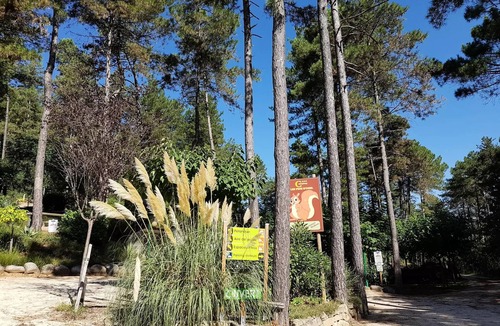 Ucel Ski Chalet | Camping Ushuaïa Villages les Pins d'Ucel * - ROMARIN - Chalet 21 m² bunk beds for 4 people