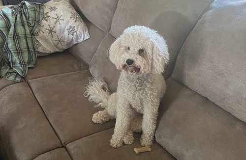 Gillette House | Camporee welcome