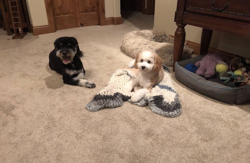 Gillette House | Camporee welcome