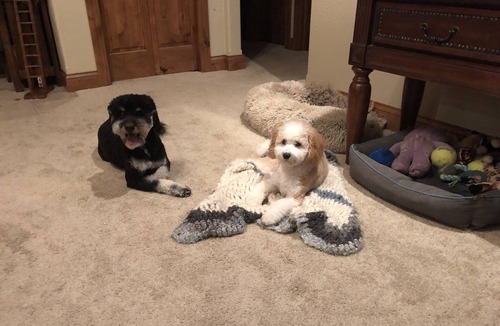 Gillette House | Camporee welcome