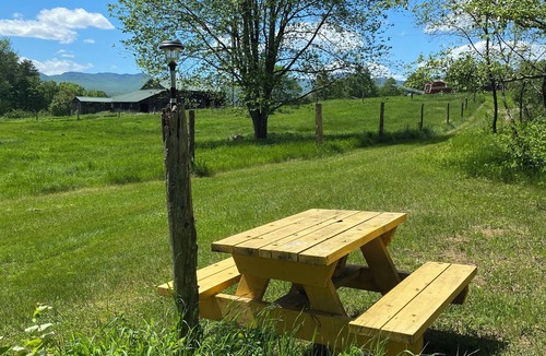 Westport RV Rental | Campsite 1. A charming campground in Wadhams perfect for your outdoor getaway.