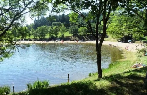 Champagnac-le-Vieux Ski Chalet | Campsite La Chanterelle* - 4 Room Chalet 6 People with TV