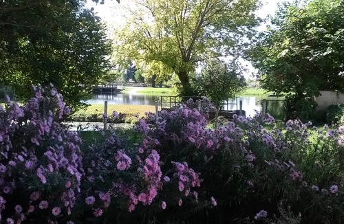 Neuvic House | Campsite Le Plein Air Neuvicois * - Mobile Home DUO7 29m² (2 bedrooms) 7 people