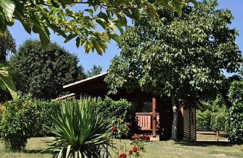Montrejeau Ski Chalet | Campsite Midi Pyrenees * - Chalet 1 bedroom 2 people