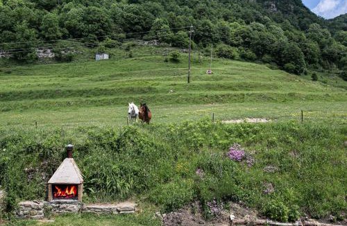 Vidra Apartment | Can Font de Ciuret, allotjament rural