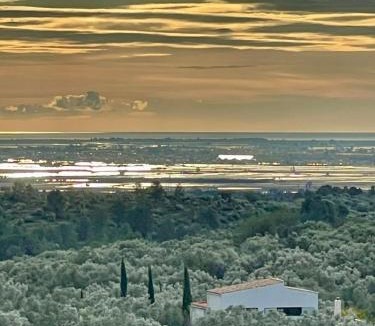 Tortosa House | Can Mimosa Guesthouse