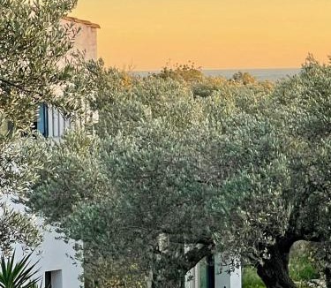 Tortosa House | Can Mimosa Guesthouse